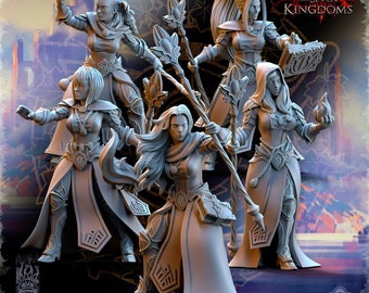 5x Silvermore Elves Sorceress Inner Circle - AOS Sigmar Old World - High Elves High Elves - Prince Noble Captain Hero - Tabletop DnD RPG