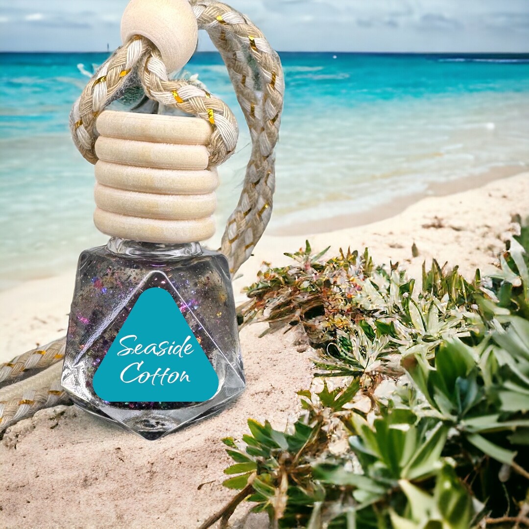 Car Diffuser Hanging Car Diffuser Car Air Freshener Scented Car ...