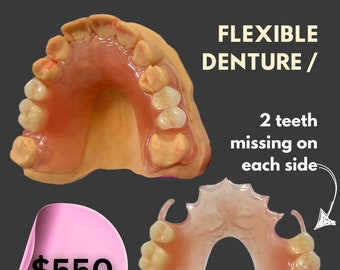 Versatile Dental Sterilization Case: Safeguard Your Partial Dentures, Flippers, NightGuards, Retainers, Removable Veneers and More