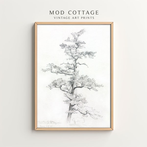 Neutral tree drawing printable | light aesthetic art | country cottage farmhouse print | vintage downloadable art