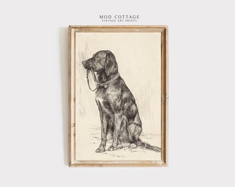 Antique Black Labrador Sketch Art Print: Vintage Farmhouse Dog (Digital Download)