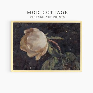 A dark floral painting of a white rose on a black background is framed in gold. This vintage print goes with e a cottagecore or dark botanical and dark academia aethetic.