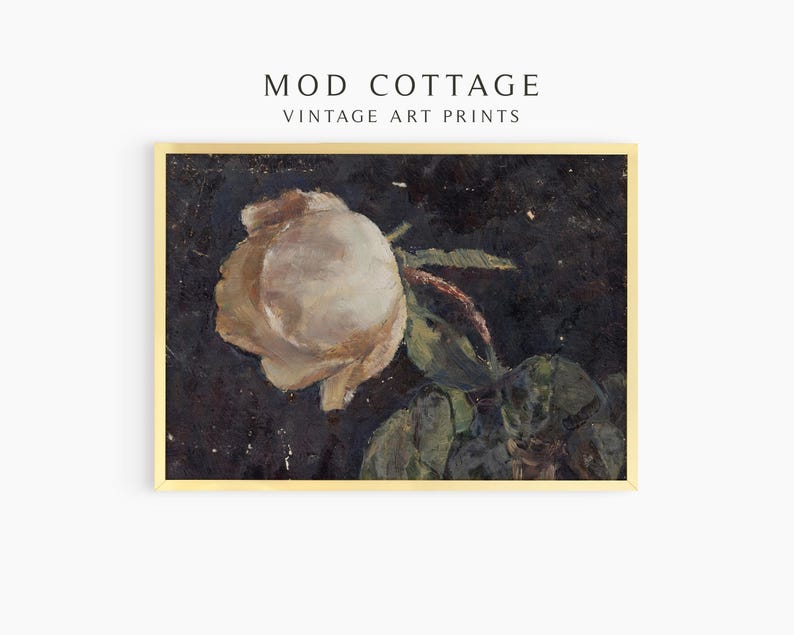 A dark floral painting of a white rose on a black background is framed in gold. This vintage print goes with e a cottagecore or dark botanical and dark academia aethetic.