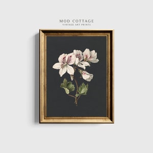 Impresión floral melancólica: Arte cottagecore de Dark Academia (descarga digital)