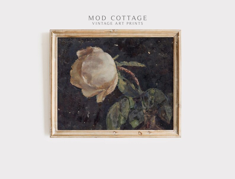 A moody floral painting of a white rose on a black background that goes with e a cottagecore or dark botanical and dark academia aethetic.