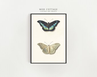 Butterfly art printable | dark academia print | downloadable wall art