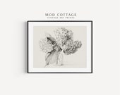 Hydrangea Flower Sketch Art: Vintage Botanical Print (Digital Download)