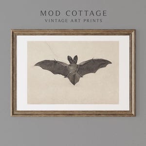 May include: A framed vintage illustration of a brown bat with its wings spread out. The bat is depicted in a realistic style with detailed features. The image is printed on a cream-colored paper and framed in a simple wooden frame.