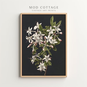 Lámina artística de azalea melancólica: Floral estilo cottagecore oscuro (descarga instantánea)