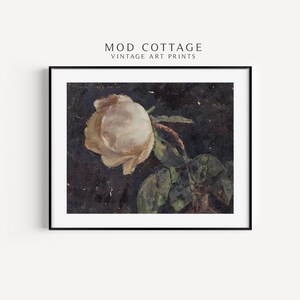 A moody floral painting of a white rose on a black background that goes with e a cottagecore or dark botanical and dark academia aethetic.