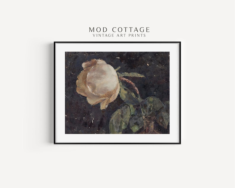 A moody floral painting of a white rose on a black background that goes with e a cottagecore or dark botanical and dark academia aethetic.