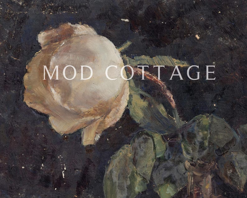 A white rose print on a black background with the words Mod Cottage.