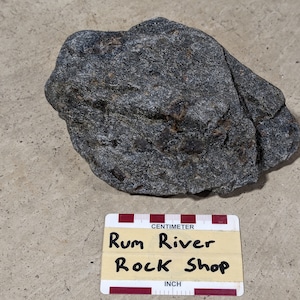 Large mica schist with many staurolite crystals (Minnesota)