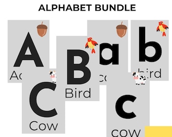 Alphabet Flash Cards Bundle - Uppercase and Lowercase - Educational Learning Cards