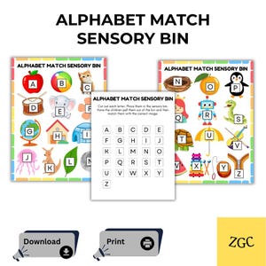 Alphabet Sensory Bin Activity Printable | Letter Matching Activity for Preschool Kindergarten | ABC Literacy Centers PDF