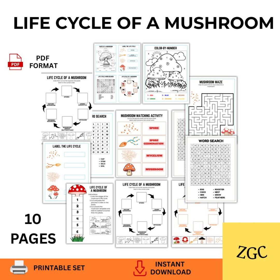 Life Cycle of a Mushroom Printable | Mushroom Life Cycle Worksheets ...
