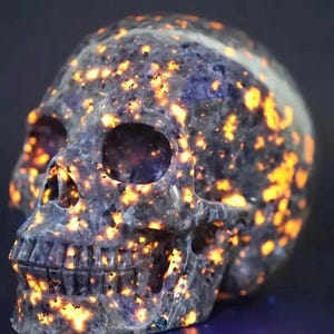 May include: A detailed skull sculpture carved from a dark blue stone with a speckled pattern of bright orange and yellow flecks.