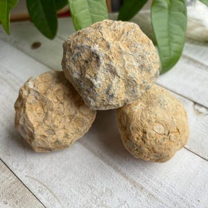 May include: Three brown and gray geode crystals with a rough, textured surface.