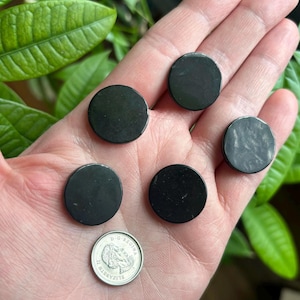 Puede incluir: Cinco pequeñas piedras negras redondas y pulidas se muestran en una mano, junto a una moneda canadiense. Las piedras tienen una superficie lisa y reflectante. Se ven hojas verdes en el fondo.