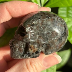 May include: A black and grey crystal skull with a speckled pattern. The skull is carved from a natural stone and has a smooth, polished finish.