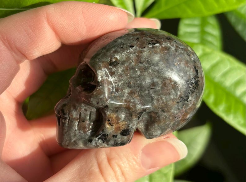 May include: A black and grey crystal skull with a speckled pattern. The skull is carved from a natural stone and has a smooth, polished finish.