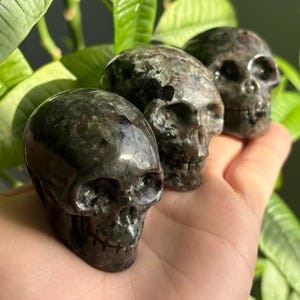 May include: Three black and grey gemstone skull carvings. The skulls are polished and have a speckled appearance.