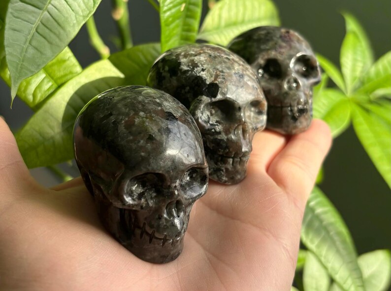 May include: Three black and grey gemstone skull carvings. The skulls are polished and have a speckled appearance.