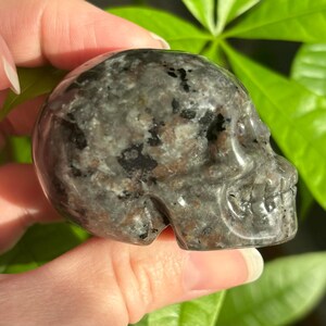 May include: A black and grey speckled stone skull, carved in the shape of a human skull.
