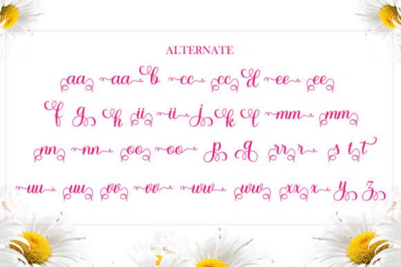Whitney Font: Elegant Handwritten Script for Logos & Invitations - Etsy