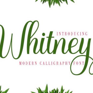 Op de afbeelding: Introductie van Whitney, een modern kalligrafie-lettertype. Het lettertype wordt weergegeven in groen met de woorden "Introducing" en "Modern Calligraphy Font" in roze.