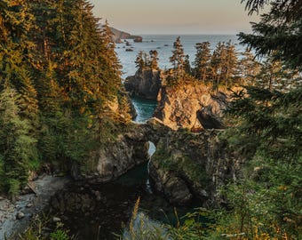 Costa dell'Oregon - Download digitale