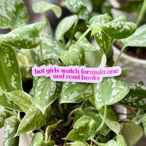hot girls watch formula one and read books sticker pink