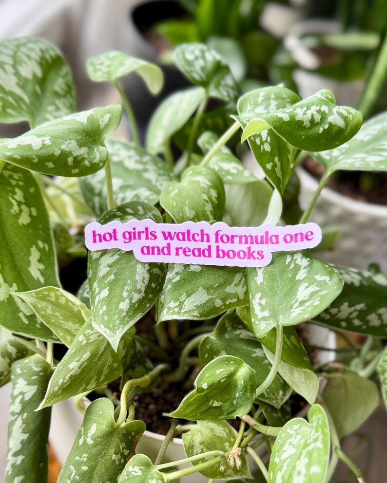 hot girls watch formula one and read books sticker pink