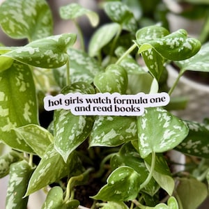 May include: A white die-cut sticker with black text that reads hot girls watch formula one and read books, positioned against a background of green and silver variegated heart-shaped leaves of a trailing houseplant in a white pot.