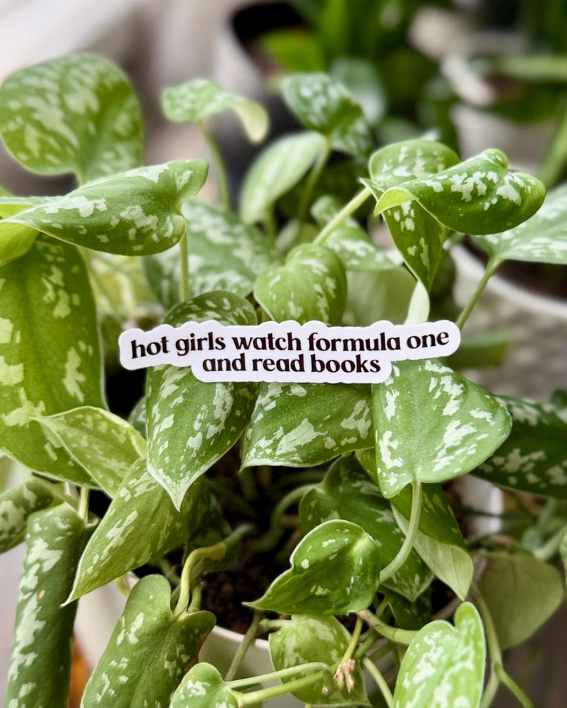 May include: A white die-cut sticker with black text that reads hot girls watch formula one and read books, positioned against a background of green and silver variegated heart-shaped leaves of a trailing houseplant in a white pot.