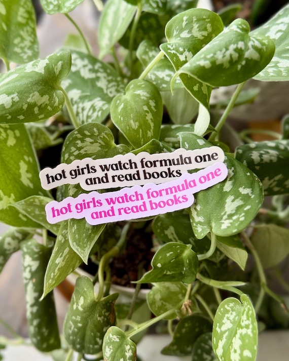 hot girls watch formula one and read books sticker