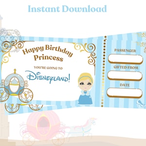 Cinderella Disneyland Theme Park Ticket Downloadable and Editable PDF California Princess Printable