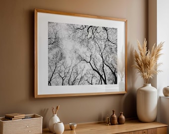 Black and White Tree Photography | Horizontal Nature Print | Central Park