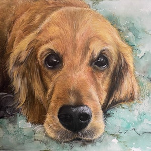 Custom Pet Portrait