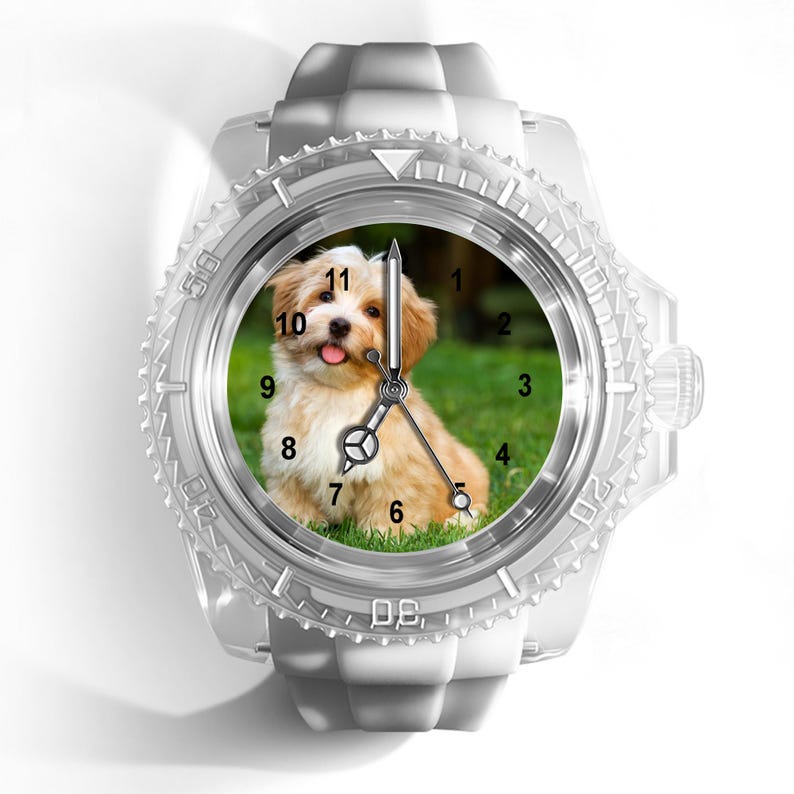 May include: A wristwatch with a translucent white silicone strap and a matching bezel. The watch face features a high-resolution photograph of a fluffy tan and white puppy sitting on green grass, with black numerals and silver-toned hands.
