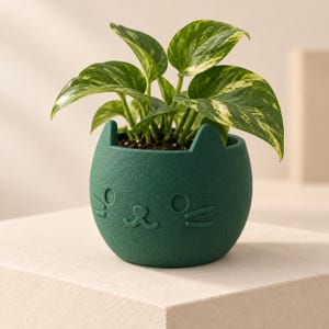 May include: A dark green, matte-textured ceramic planter shaped like a cat head with two small ears, featuring an embossed face with circular eyes, a small nose, and whiskers, containing a green and yellow variegated pothos houseplant.