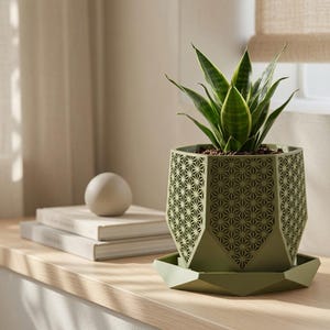 May include: A sage green hexagonal planter with a geometric star-patterned cutout design. The planter features a matching removable saucer base and contains a green snake plant with pointed leaves, creating a structured and modern appearance.
