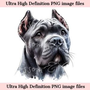 Mastín italiano digital PNG acuarela perro retrato PNG - Descargar para Cane Corso perro mamá camisa sublimación - seguro para uso comercial