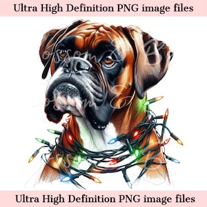 Digitaal - schattige bokserhond PNG kerstportret van de hond png - download voor bokserhond moeder kerstverlichting kerstboxer moedershirt sublimatie