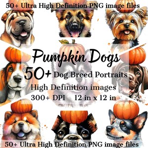 Paquete digital de calabazas para perros: 50 razas de perros, imágenes prediseñadas de calabaza, descarga instantánea para sublimación de camisetas de Halloween para mamás de perros en otoño.