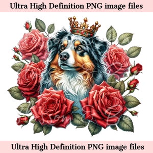 Pastor australiano digital PNG King Crown PNG - Lindo perro australiano PNG Descarga instantánea para el logotipo del peluquero de perros y regalo de sublimación de camisa