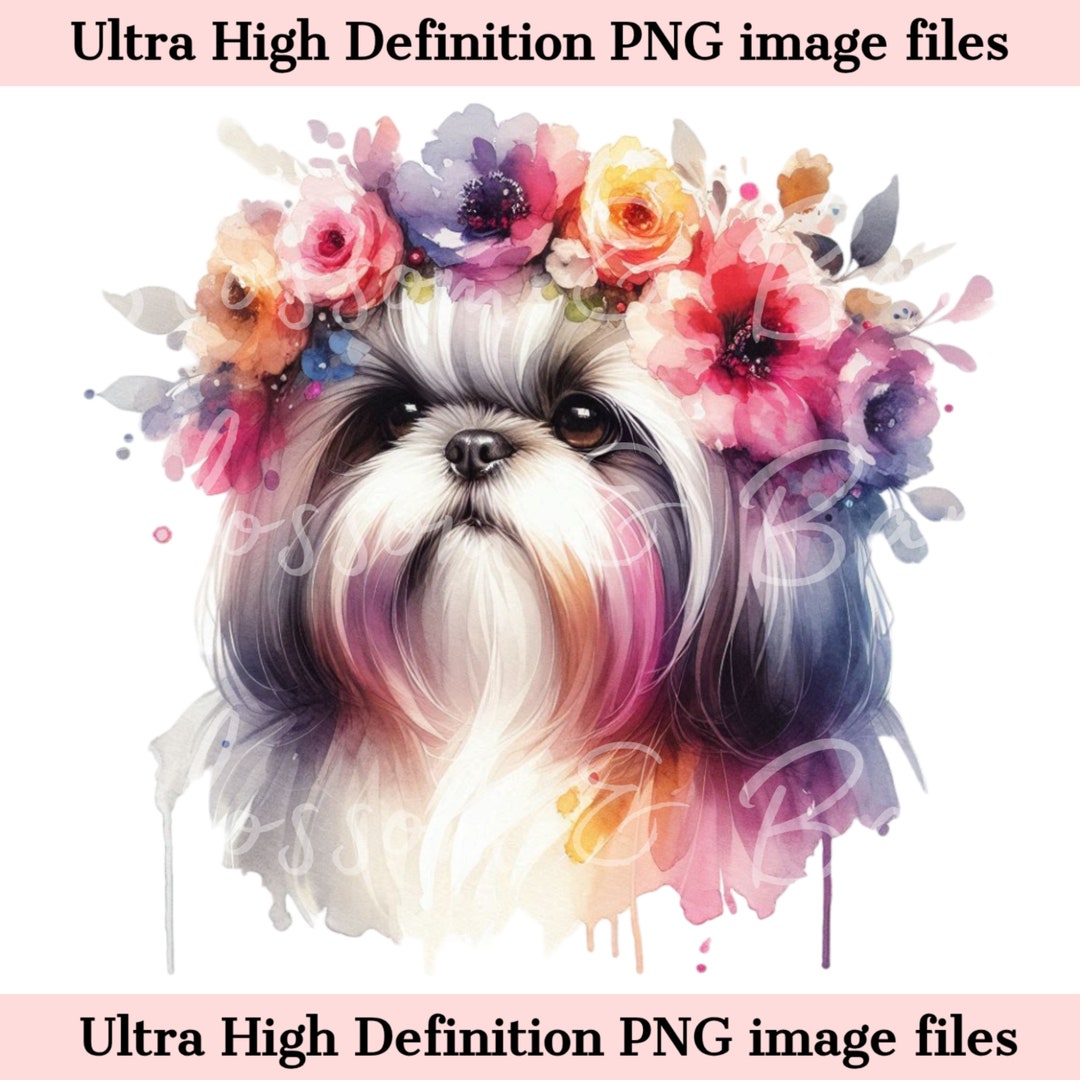 Digital Shih Tzu PNG Elegant Watercolor Dog PNG- Shih Tzu Puppy PNG ...