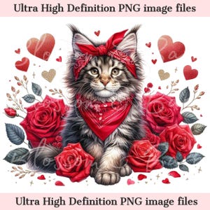Digitales Valentinstagsbild Maine Coon PNG Druckbares Katzenporträt PNG - Katze PNG - Download für Maine Coon Katzenmutter Valentinstag Shirt Sublimation