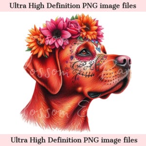 Digitale labrador retriever png Dag van de doden - prachtige jachthond png-download voor Halloween labrador shirt sublimatie suikerschedel