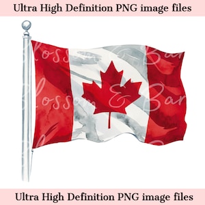 May include: A watercolor painting of the Canadian flag waving in the wind. The flag is red and white with a large red maple leaf in the center.